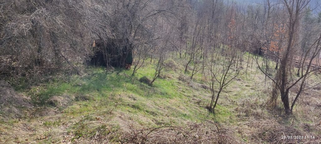 Преди нашите услуги